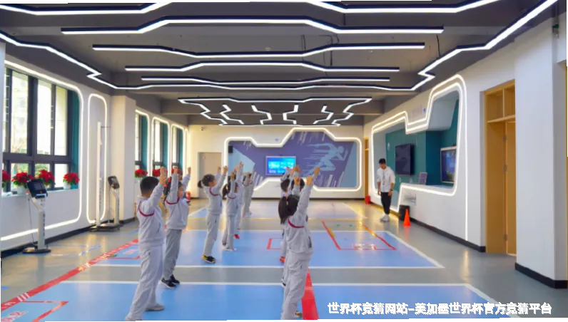 未来愿景与发展方向